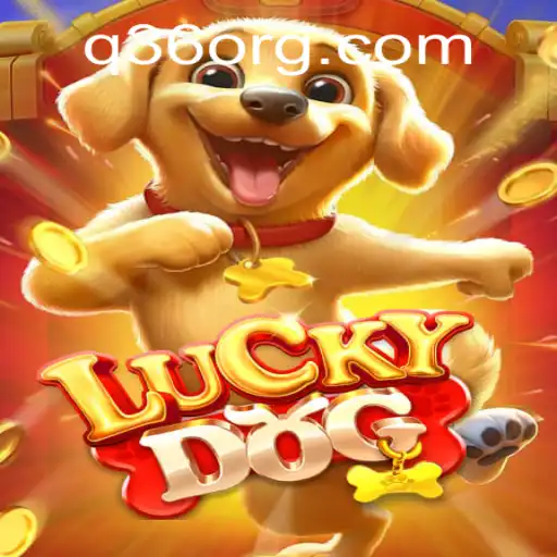 Discover the Exciting World of LuckyDog and the Mysterious Q36
